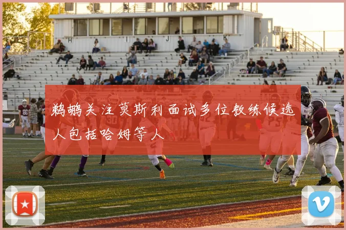 鹈鹕关注莫斯利面试多位教练候选人包括哈姆等人