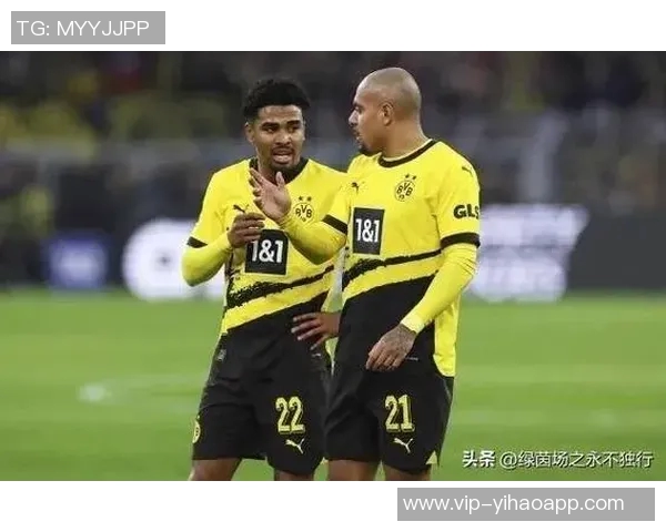 多特19岁前锋科尔坎贝尔欲冬窗离队多家俱乐部表达浓厚兴趣